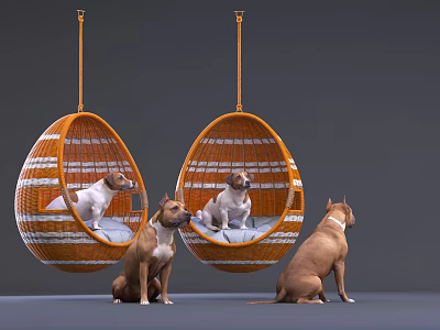 Reptiles Resting In Hanging Wicker Egg Chairs And On Floor 3d model