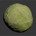 Fresh Green Round Cabbage Healthy Vegetable With Vibrant Color And Texture