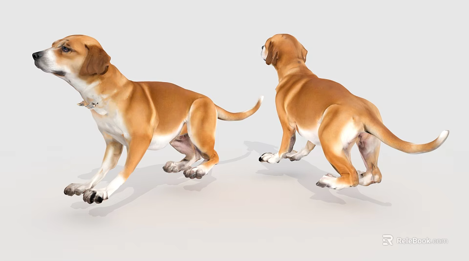Realistic 3D Model of Two Brown Dogs from Different Angles 3d model