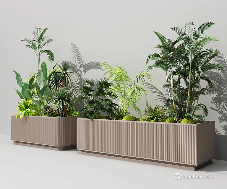 Modern Rectangular Garden Planters with Various Green Plants and Different Leaf Shapes in Modern Style 3d model 