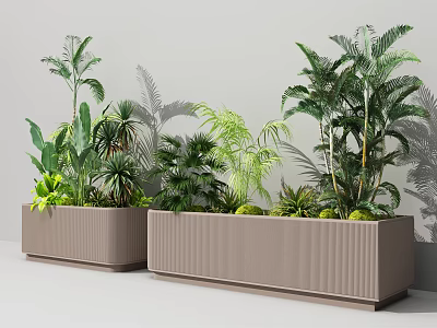 Modern Rectangular Garden Planters with Various Green Plants and Different Leaf Shapes in Modern Style 3d model
