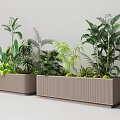 Modern Rectangular Garden Planters with Various Green Plants and Different Leaf Shapes in Modern Style