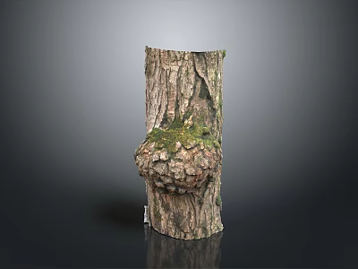Rustic Wooden Stump Ornament Featuring Bark Texture Burl And Moss Accents 3d model