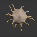 Detailed Microscopic Organ Structure With Hair Like Projections On Dark Background