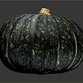Single Blue Green Speckled Striped Pumpkin With Yellow Stem On Dark Background