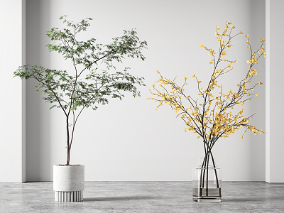 Modern Vase Bonsai Combination model