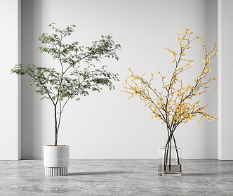 Modern Vase Bonsai Combination 3d model