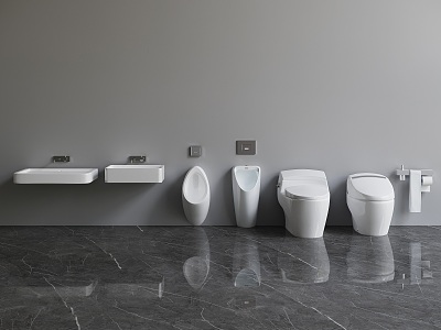 Modern toilet basin toilet combination model