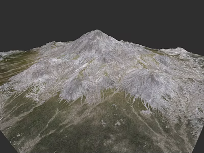 Detailed Microtopography 3D Terrain Model Featuring Mountain Slopes And Vegetation Cover 3d model