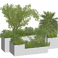 Potted Plants Featuring Various Green Foliage in Gray Square Planters Modern Design 3d model