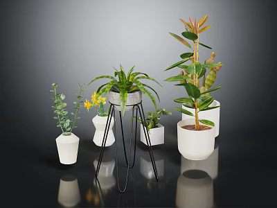 Various Indoor Potted Plants With Green Leaves Yellow Flowers White Pots And Metal Stand 3d model