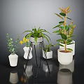 Various Indoor Potted Plants With Green Leaves Yellow Flowers White Pots And Metal Stand