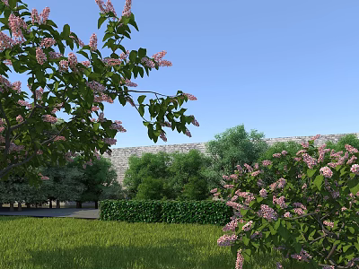 Beautiful Scenic Landscape With Lilac Blossoms Lush Green Trees Stone Wall And Clear Blue Sky 3d model