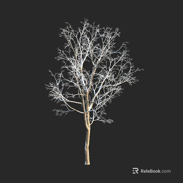 Leafless Tree With Bare Branches And Brown Trunk On Black Background 3d model 