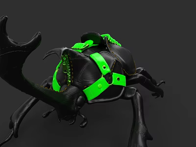 Black Leather Shoes With Green Straps And Unique Beetle Inspired Design 3d model