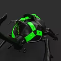 Black Leather Shoes With Green Straps And Unique Beetle Inspired Design
