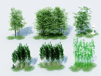 Bamboo Different Varieties With Lush Green Leaves Tall Stems And Natural Clusters 3d model