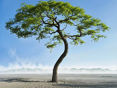 Lush Green Tree With Curved Trunk Blue Sky Distant Mountains Sandy Ground And Mist 3d model
