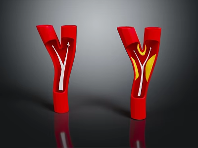 Tissue System with Y Shaped Red Branches Showing White and Yellow Flow Structures 3d model