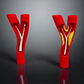 Tissue System with Y Shaped Red Branches Showing White and Yellow Flow Structures