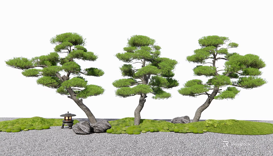 Evergreen Arbor Trees in Japanese Garden with Stones Grass and Lantern 3d model 