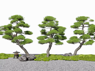 Evergreen Arbor Trees in Japanese Garden with Stones Grass and Lantern 3d model