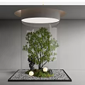 Modern Indoor Garden Decor With Small Tree Pebbles Moss And Round Elements Under Overhead Light 3d model