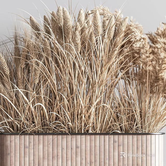 Shower Sauna Space Decorated With Dried Wheat Herbs In Wooden Planter 3d model 