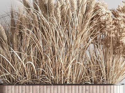 Shower Sauna Space Decorated With Dried Wheat Herbs In Wooden Planter 3d model
