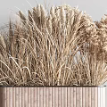 Shower Sauna Space Decorated With Dried Wheat Herbs In Wooden Planter