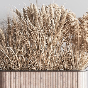 Modern reed plant potted 3d model