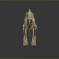Medical Device Animal Skeleton Teaching Model With 3D Rendered Details For Veterinary Anatomy