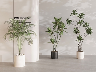 green plant potted plant combined ceramic pot plant green plant 3d model