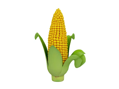 Fresh Yellow Corn with Green Husks and Plump Kernels for Healthy Meals 3d model