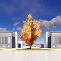 Modern School Building With White Exterior Wooden Structure And Reflection Pool Under Blue Sky