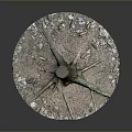 Wooden Tree Stump With Exposed Roots Surrounded By Stone Gravel And Soil