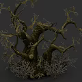 Ancient Tree with Twisted Branches Rough Bark and Surrounding Mossy Vegetation 3d model