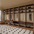 Custom Built in Wardrobe With Hanging Clothes Storage Boxes And Shoes 3d model