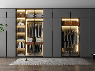 Modern Gray Custom Wardrobe Interior Design With LED Lighting And Storage Solutions 3d model