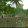 Vibrant Garden Landscape With Lush Green Plants Palm Tree And Colorful Flowers