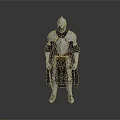 Man In Medieval Knight Armor With Black Cloak Full Body Standing