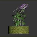 Decorative Plant With Green Leaves And Purple Flowers On Round Grassy Pedestal