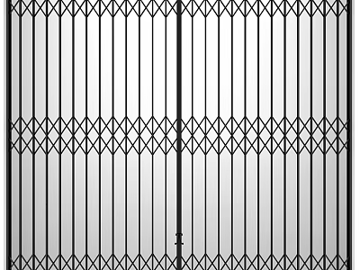 Durable Steel Security Door With Decorative Metal Pattern And Double Panel Design 3d model
