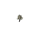 Joshua Tree Featuring Thick Trunk Branchy Needle Like Green Yellowish Leaves and Person Silhouette Under