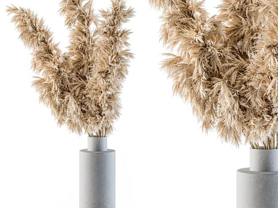 Modern Jewelry Ornaments Combination Dried Flowers Pampas Prairie Dried Branches 3d model