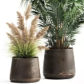 Indoor Decorative Bonsai Potted Plants With Tropical Palm And Ornamental Grass In Ceramic Pots