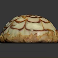 Round Dessert With Creamy White Frosting And Caramel Floral Pattern On Almond Crumb Base