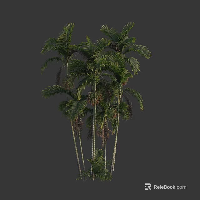 Clustered Palm Trees With Slender Trunks And Lush Green Fronds In Group 3d model 