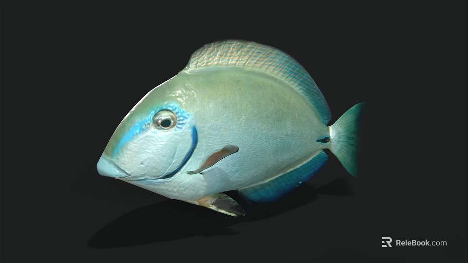 Turquoise Blue Fish With Shiny Scales Distinctive Eye Markings And Sleek Body Shape 3d model 