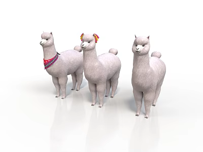 Three White Alpacas Standing With One Wearing Red Scarf On White Background 3d model